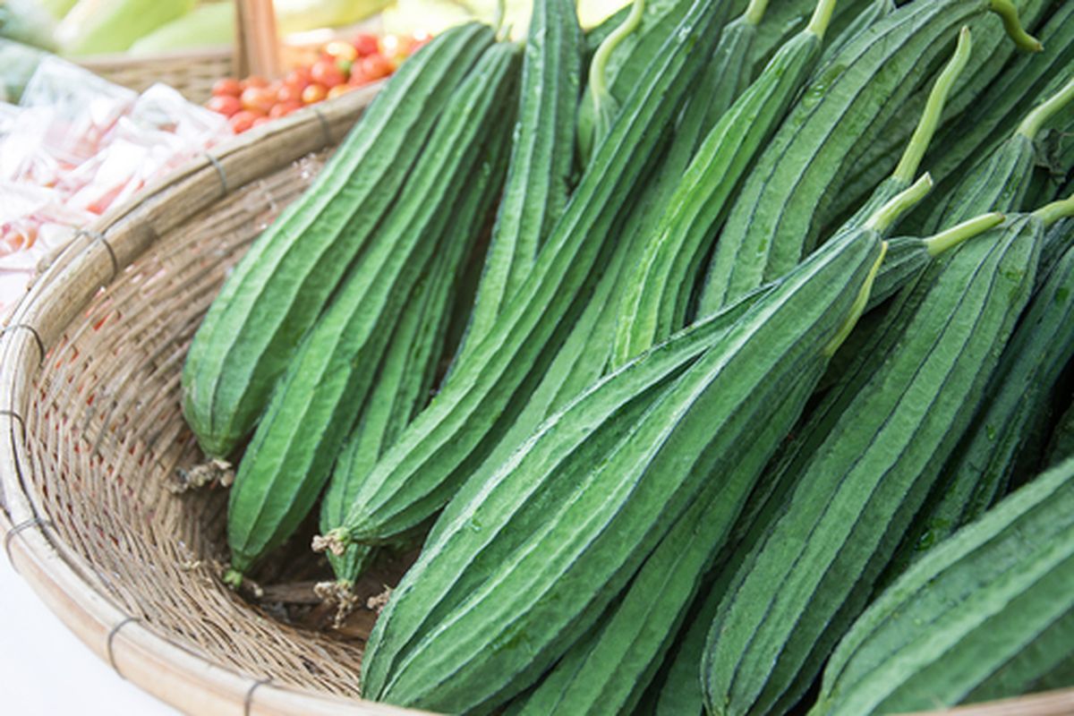 Sayur Oyong, Pilihan Tepat untuk Hidup Sehat dan Panjang Umur
